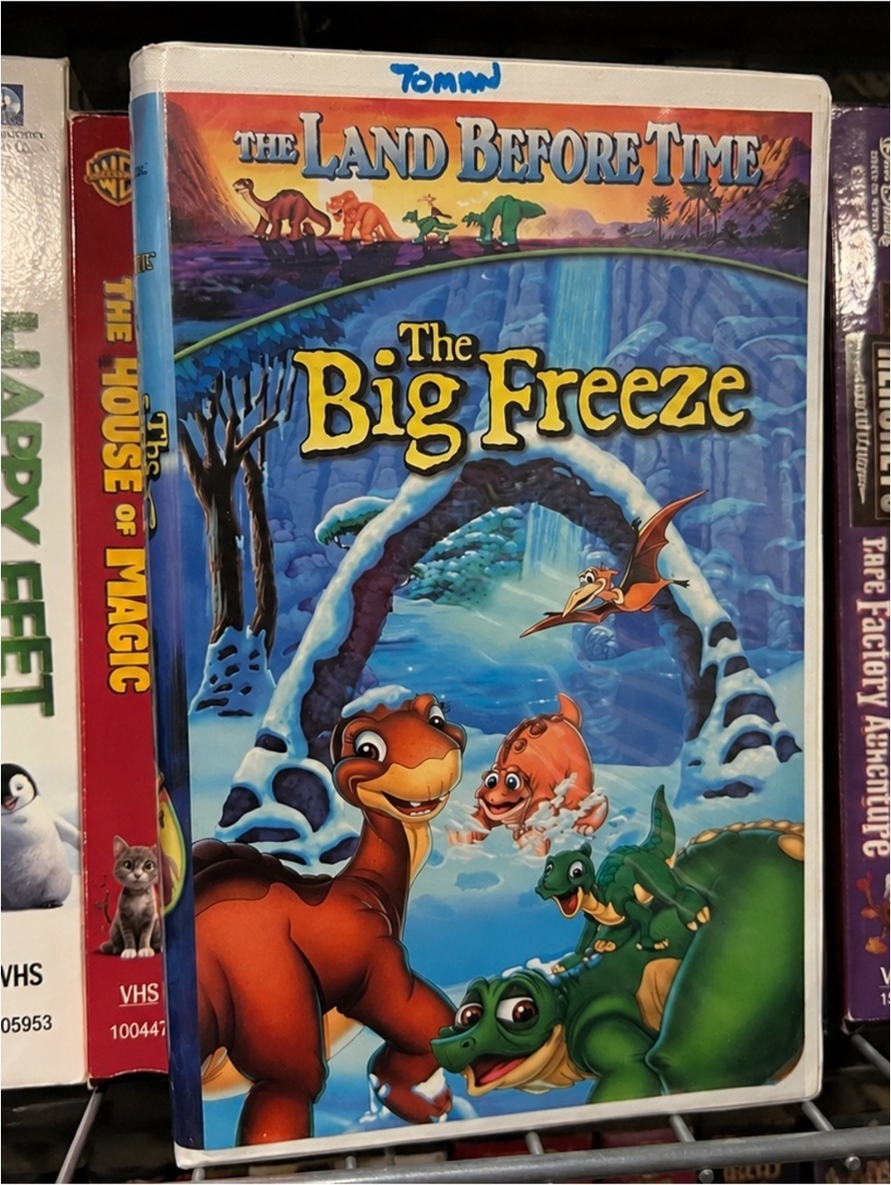 Land Before Time Big Freeze VHS Tape Dinosaur Movie